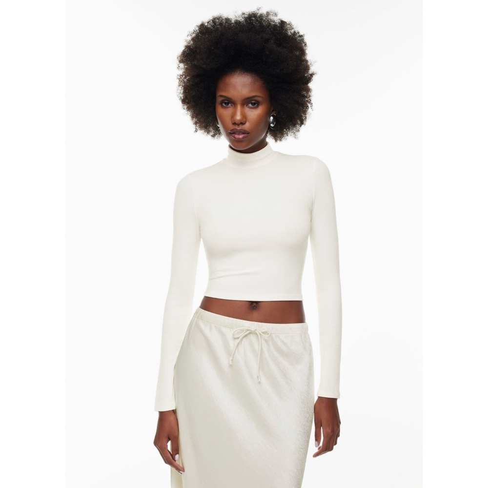 Aritzia Wilfred Only Waist Turtleneck